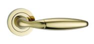 Bulbus Handle in Brass