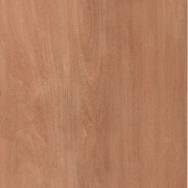 Flush Blank Doors