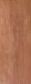 JB Kind Plywood Flush for Paint Interior Door